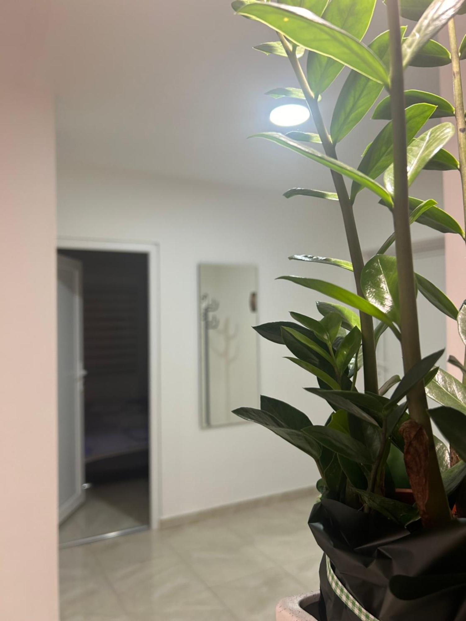Apartman Diamond Lux Surčin Exterior foto
